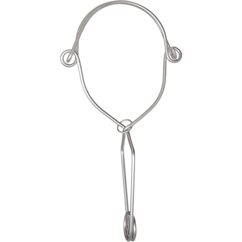 RVS ankerhaak 140 mm